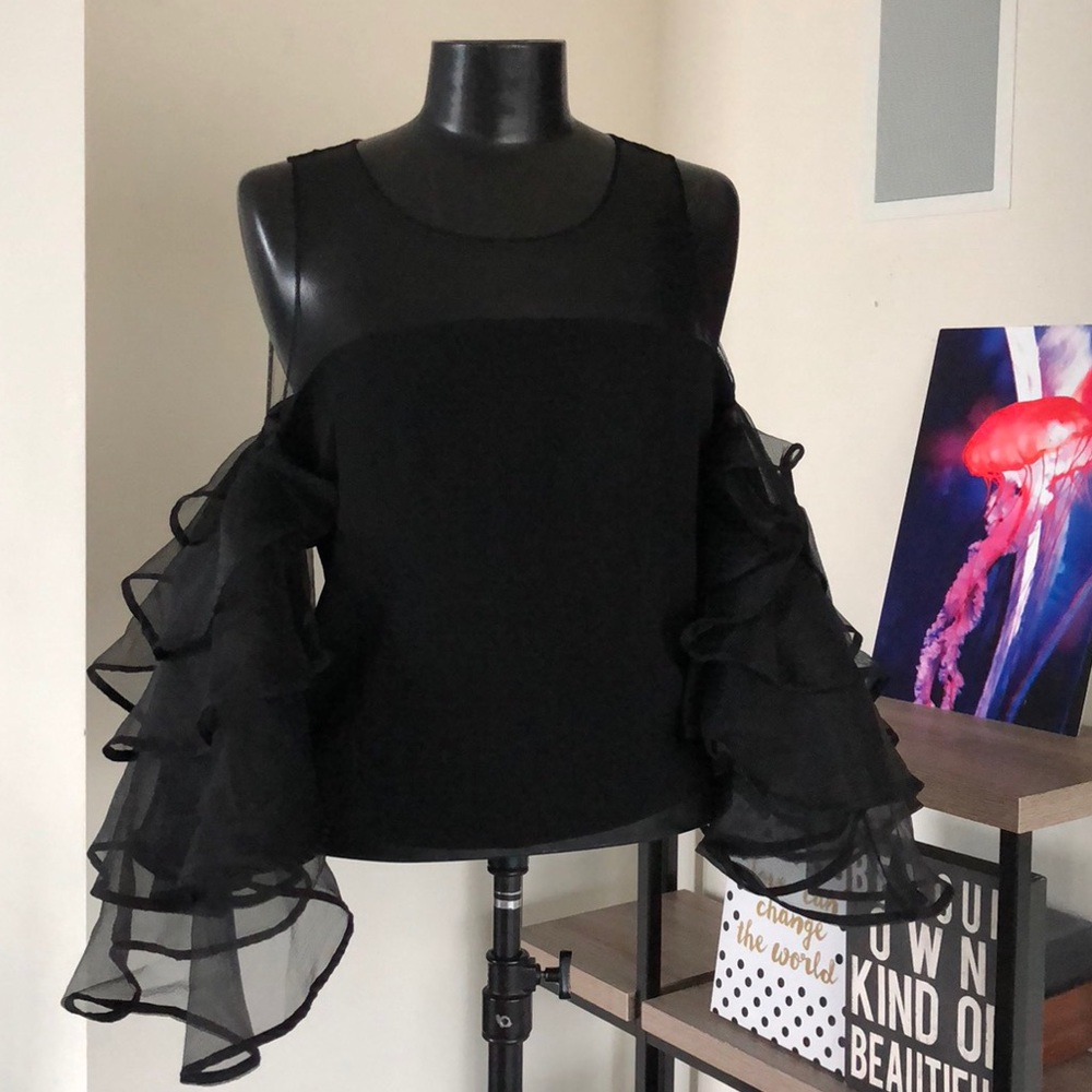 Sheer Ruffled Sleeve Top - Picture 3 of 7